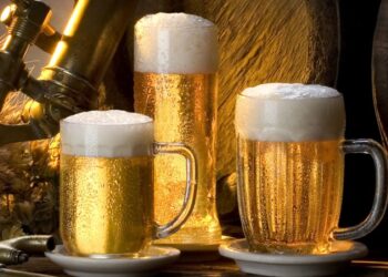 Top 20 beer drinking countries in the world
