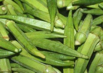 Health benefits of okra
