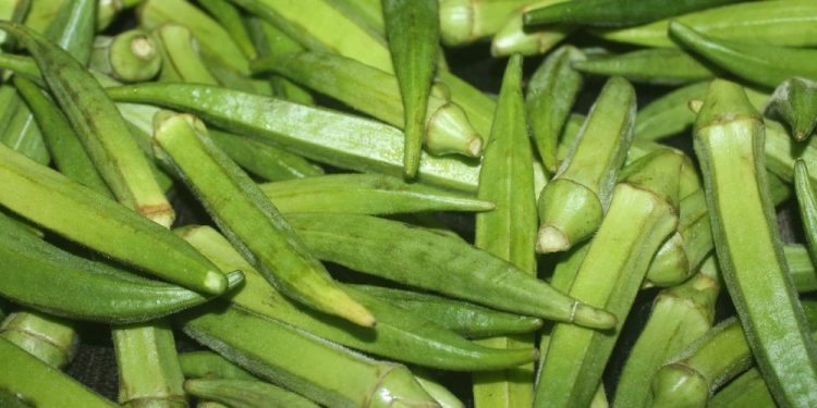Health benefits of okra