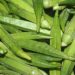 Health benefits of okra