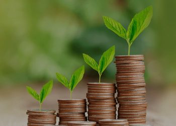 Things to consider when joining a SACCO