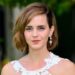 Emma Watson Net Worth