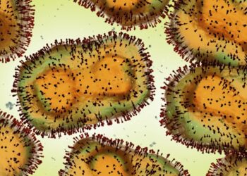 Mpox: Causes, symptoms and treatment