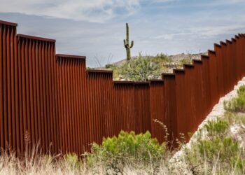 Top 20 longest international land borders in the world