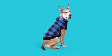 Benefits of dog clothes