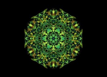 Benefits of 639 Hz solfeggio frequency