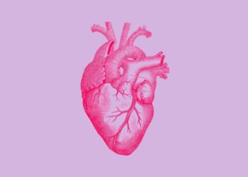 Top 20 most expensive human organs