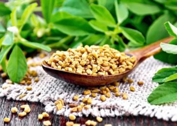 Health benefits of fenugreek
