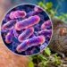 Plague: Causes, symptoms and treatment